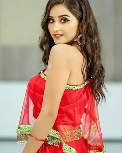 Escort In Fazilka
